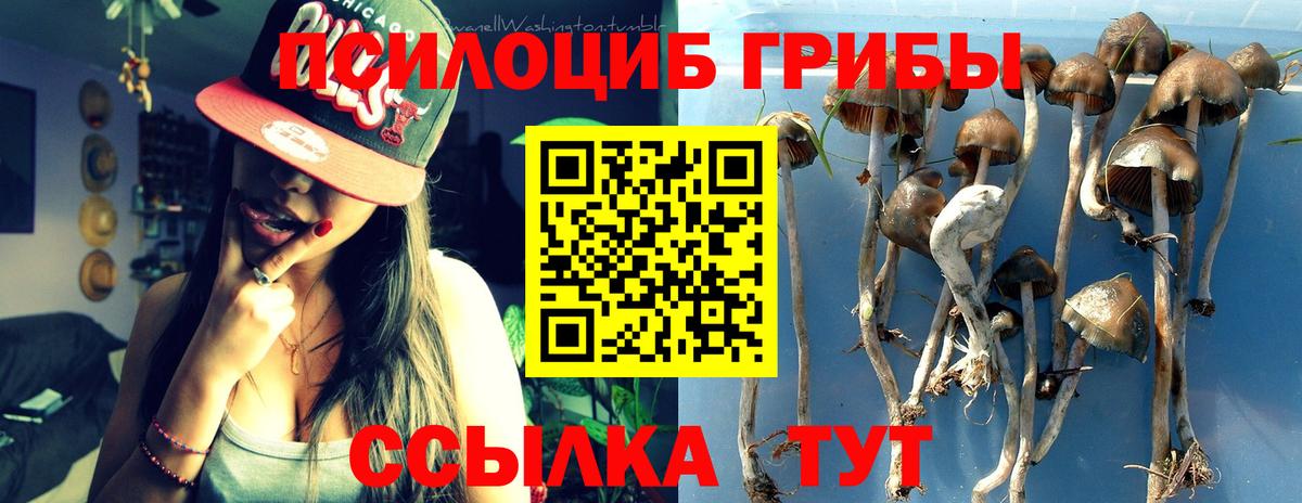 Южно-Сахалинск  Псилоцибиновые грибы GOLDEN TEACHER  Псилоцибиновые грибы MAGIC MUSHROOMS  Вход с VPN 